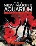 The New Marine Aquarium