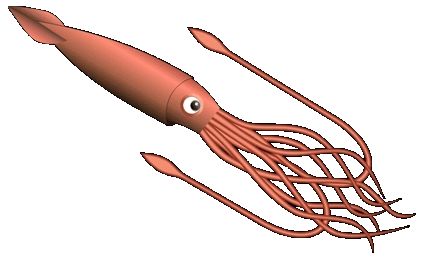 Giant Squid